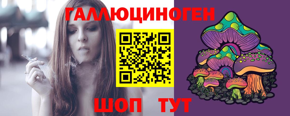 Галлюциногенные грибы Psilocybe  Вход с VPN  Белгород 