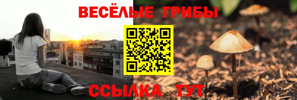 Галлюциногенные грибы Cubensis Белгород
